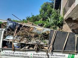 Best Construction Debris Removal  in Daleville, IN